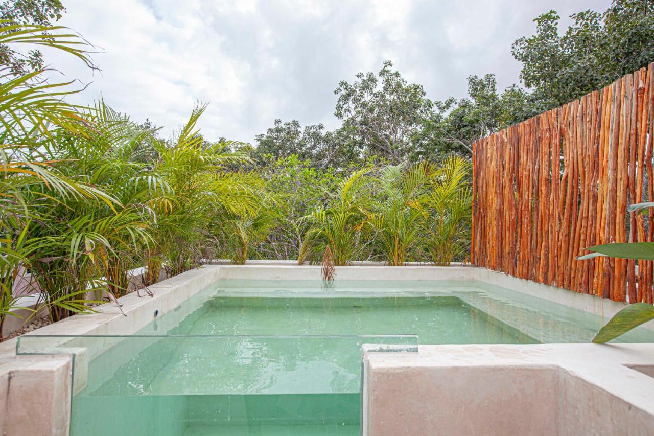 Calma Jungle Villas تولوم المظهر الخارجي الصورة
